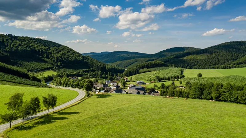 Gepflegter Garten im Sauerland mit Hecke und Rasen — Grüner Daumen Gartenpflege